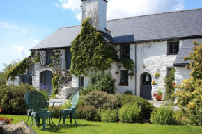 Отель Dolgun Uchaf B&B and Cottages  Долджелло